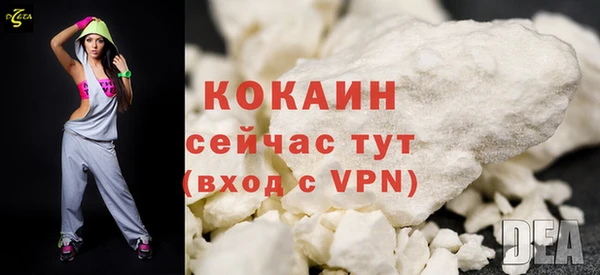 стафф Коряжма