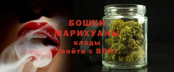 стафф Коряжма