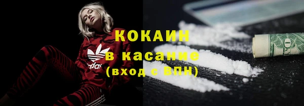 стафф Коряжма