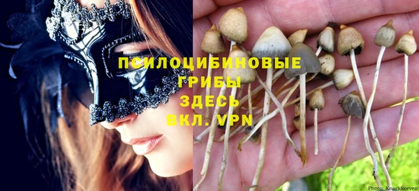 стафф Коряжма