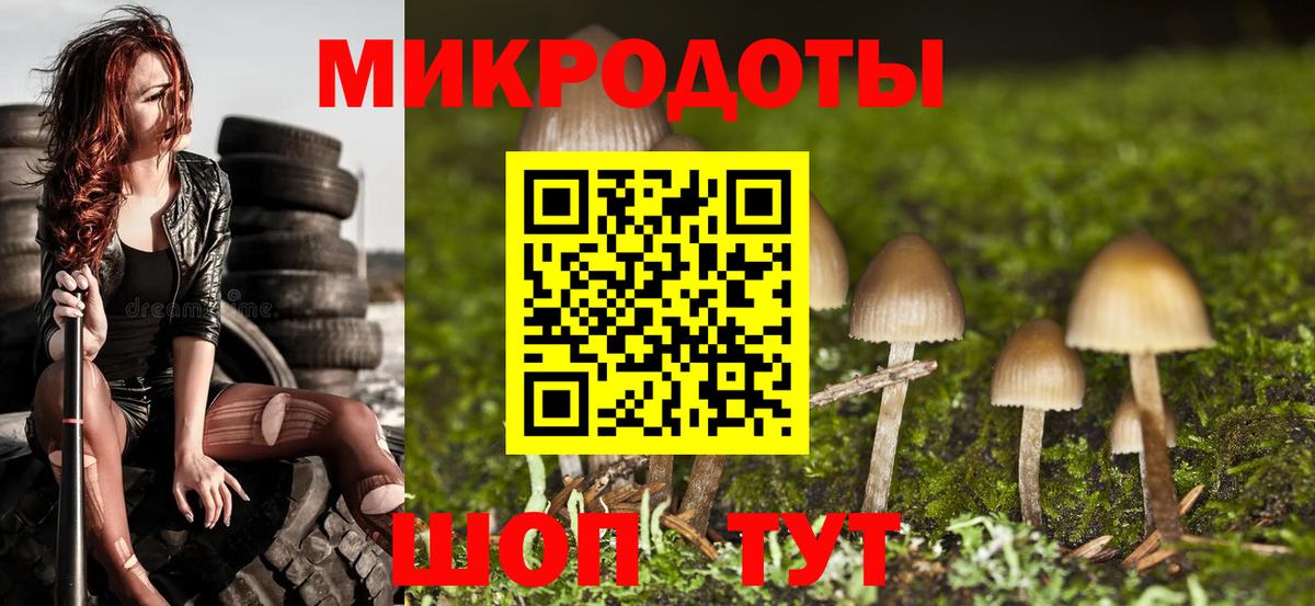 Холмск  Псилоцибиновые грибы GOLDEN TEACHER  Галлюциногенные грибы Psilocybine cubensis  Вход с VPN 