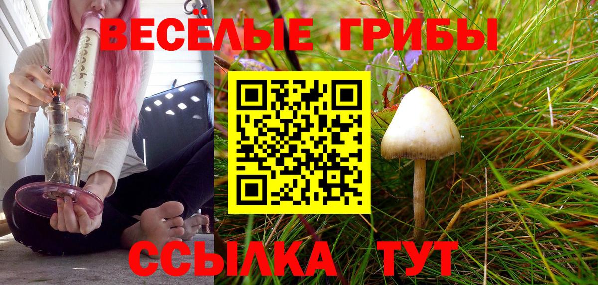 Псилоцибиновые грибы Cubensis Холмск